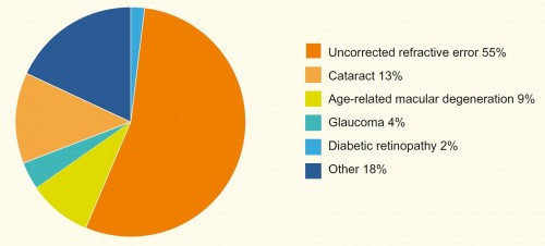 Vision loss by cause among New Zealanders aged 40 or over, 2009.