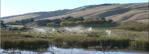 Irrigating one of the wetland areas cleared and planted last year.