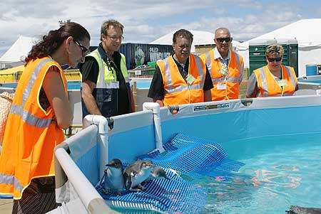 Dr Brett Gartrell, second from left, shows iwi representatives through the Oiled Wildlife Facility.