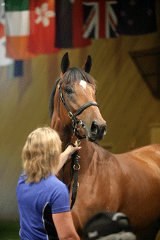 Lyndhurst Farm's sale-topping Lot 292