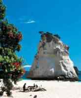 Narnia location - Cathedral Cove, Coromandel Peninsula