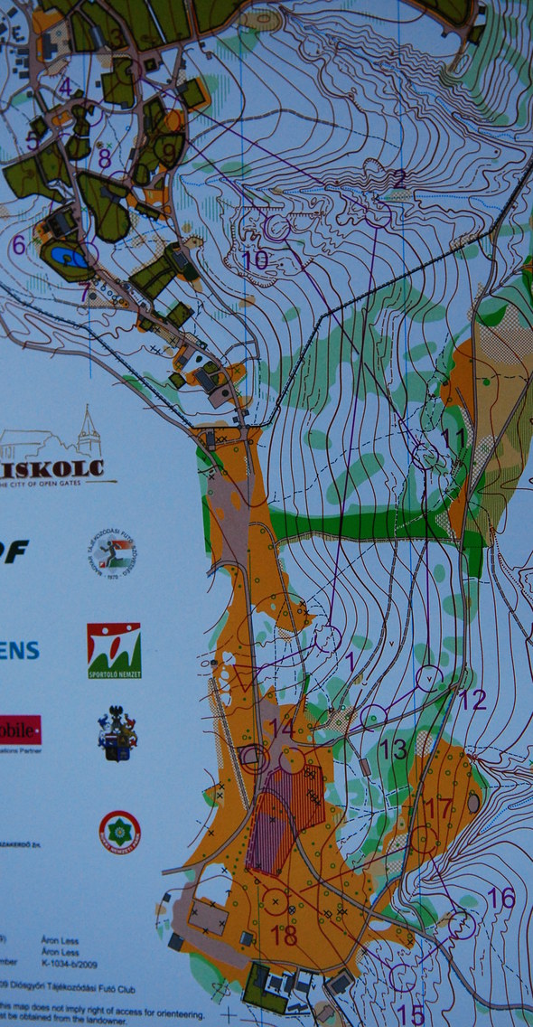 Womens Sprint course, World Orienteering Champs 2009