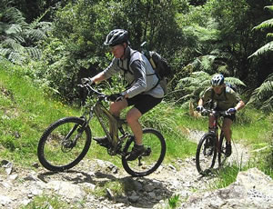 Mountain biking supported