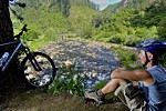 Stunning Karangahake Gorge has tracks aplenty