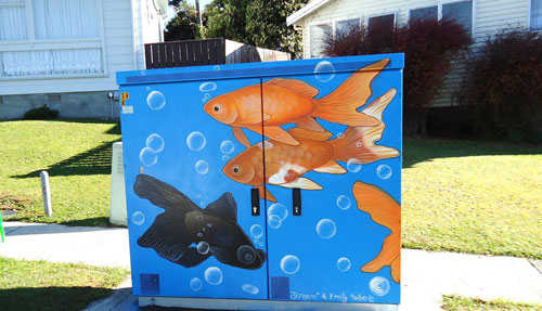 Examples of a cabinet in Stokes Valley.