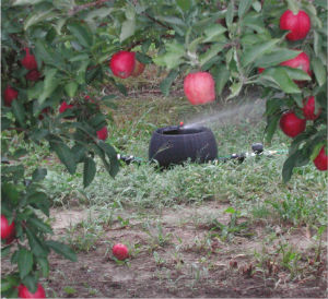 K-Line Orchard Irrigation