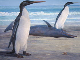 Two Kairuku penguins come ashore, passing a stranded Waipatia dolphin. (Artwork by Chris Gaskin, owner and copyright owner: Geology Museum, University of Otago. 