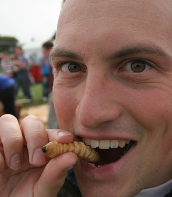 A taste of the wild - Hokitika Wildfood Festival