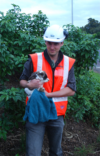  Rick Gardner with the pet rabbit