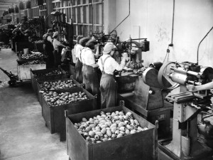 Female Masport Employees Manufacturing WWII Hand Grenades