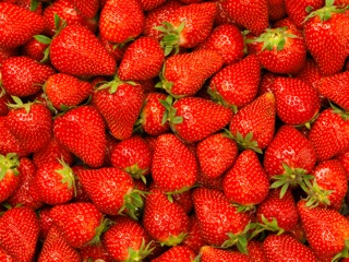 Now is the time to plant Strawberries