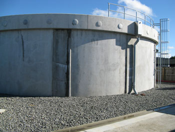 Wairau Aquifer is the source of the town's water