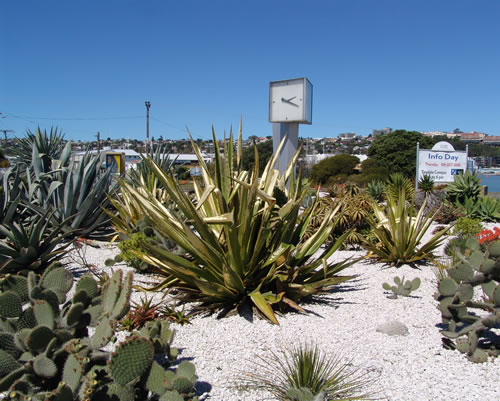 Westshore Clock after Keep Napier Beautiful work completed.